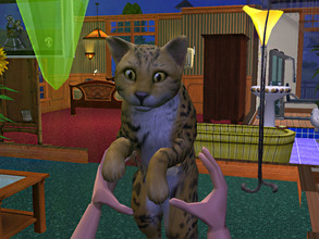 sims 2 pets expansion pack free download